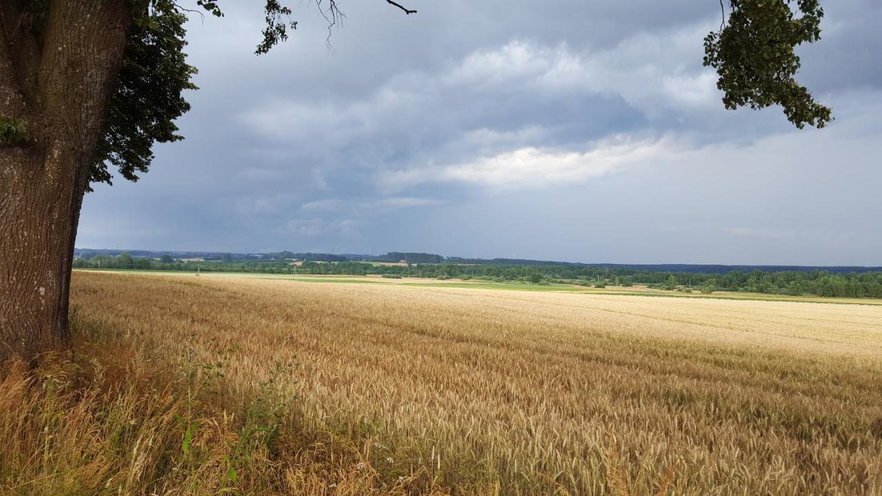 Brzozowa Polana Villa Perlino Bagian luar foto