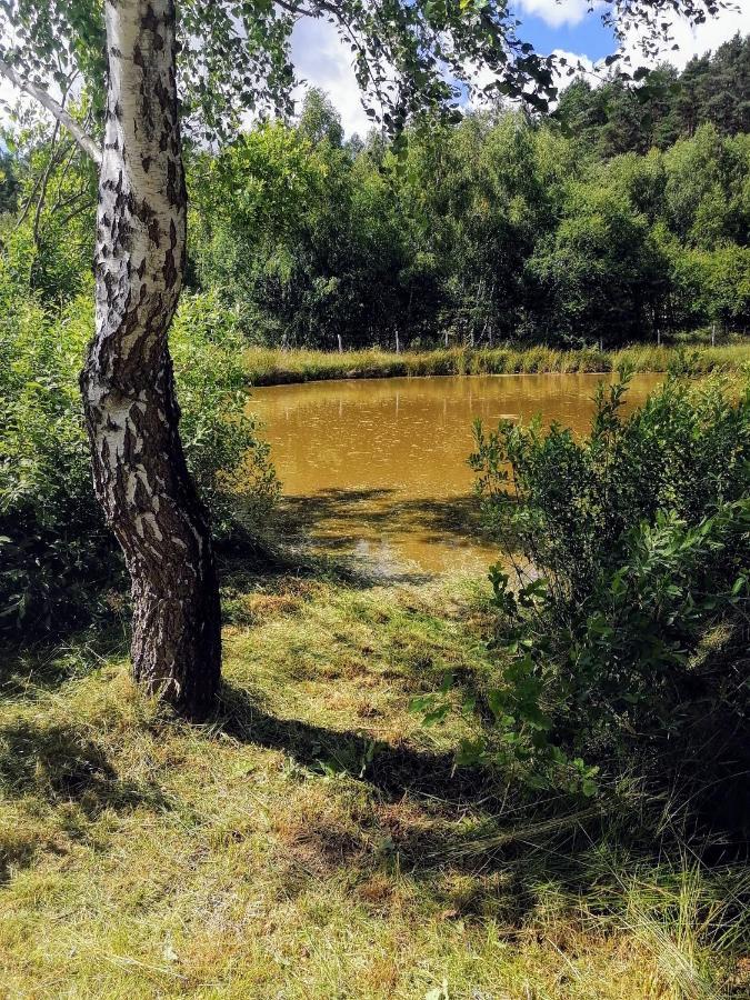 Brzozowa Polana Villa Perlino Bagian luar foto
